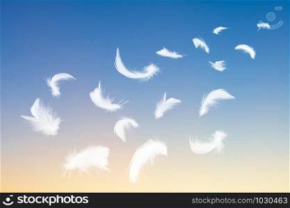 White feathers float on the sky like freedom