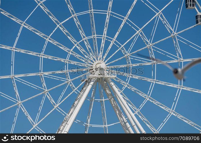 White ferris wheel on Steel Pier in Atlantic City on the New Jersey coast. White ferris wheel on Steel Pier in Atlantic City on New Jersey coastline