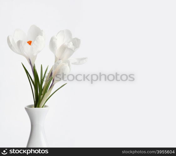 white flower bouquet on light background