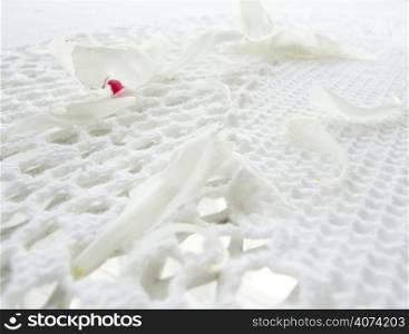 White flower petals on a white embroidered table cloth
