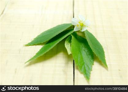 White flowers &amp; leaf on the wood table
