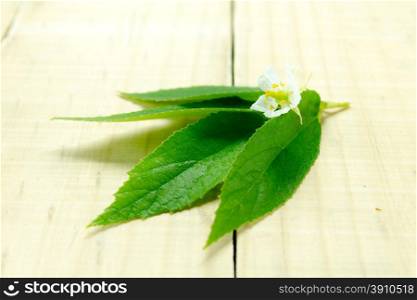 White flowers &amp; leaf on the wood table