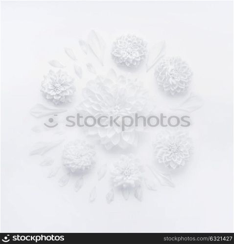 White flowers and petals round composition on white desk background, top view. Creative layout of greeting card for Mothers day, wedding ,happy event or birthday