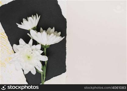 white flowers black paper sheet