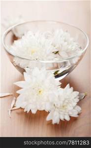 white flowers floating in bowl. spa background