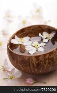 white flowers in bowl