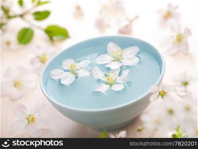 white flowers in bowl