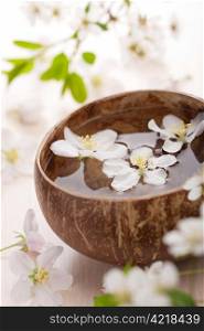 white flowers in bowl for spa