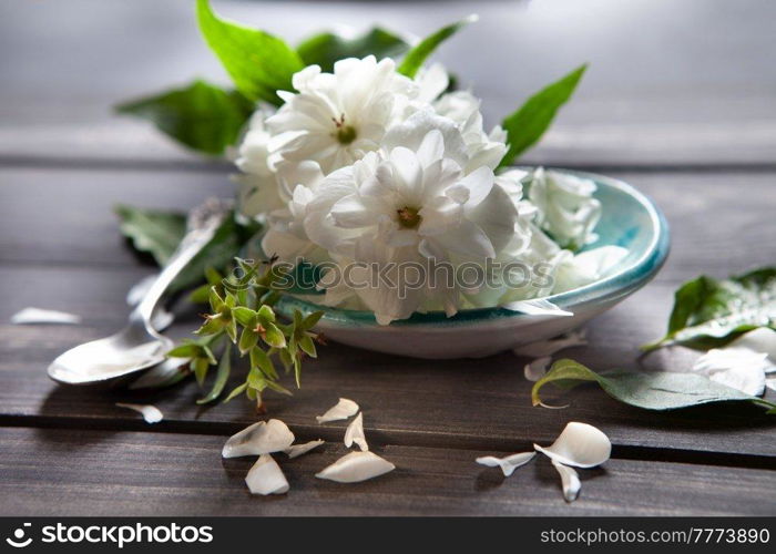 White flowers of jasmine on wooden background.Arabian jasmine flowers