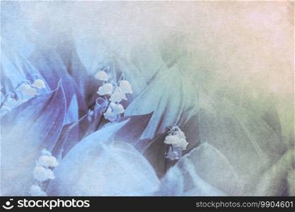 White flowers of may lily of the valley with big green leaves with paper texture background.