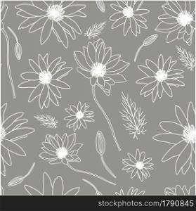White flowers on a gray background. adonis flower. medicinal plants and herbs. Summer light floral seamless pattern.. White flowers on a gray background. adonis flower. medicinal plants and herbs. Summer light floral seamless pattern