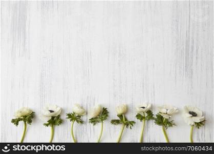 White flowers represented one by one over white background. Copy space may be used for your ideas, emotions. Valentine’s Day concept.. White flowers on white background