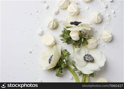 White flowers with white little zephyrs on white background. Copy space may be dedicated to your emotions, ideas to second part.. White flowers on white background