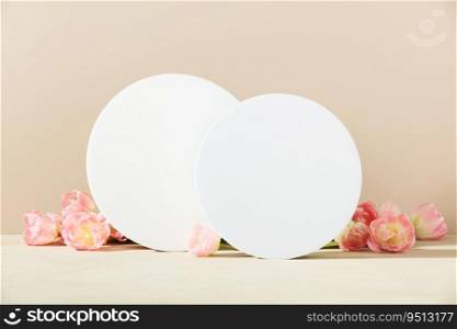 White foam circle shaped pedestals and spring tulips on beige table with copy space, side view. Podium mockup background for products. Advertising template. Foam platform. Abstract geometric pedestal.