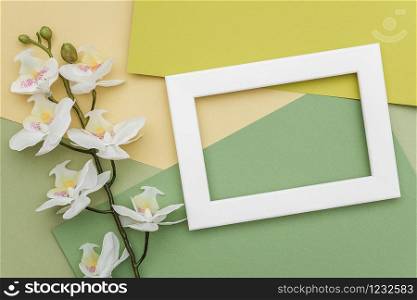 White frame and branch of orchid flower on geometric green shades paper background. Copy space, mockup for your design. Springtime or summer concept.. White frame and branch of orchid flower on geometric green shades paper background. Copy space, mockup for your design. Springtime or summer concept