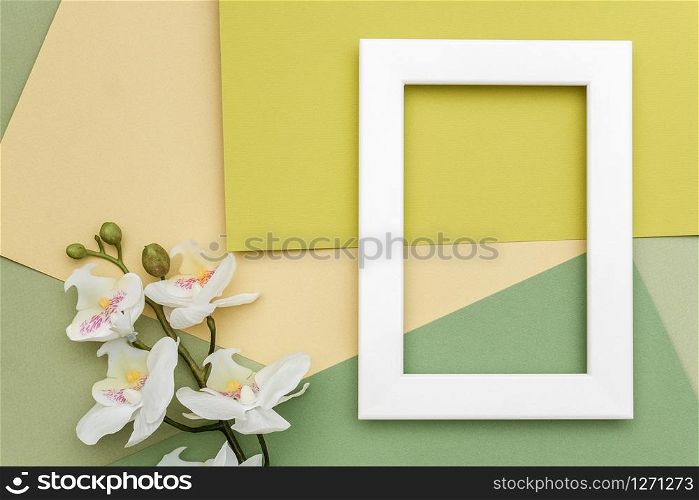 White frame and branch of orchid flower on geometric green shades paper background. Copy space, mockup for your design. Springtime or summer concept.. White frame and branch of orchid flower on geometric green shades paper background. Copy space, mockup for your design. Springtime or summer concept