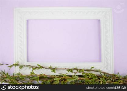 White frame with branches of green willow on a pink background. Copy space in the middle for your text. Willow twigs.. White frame with branches of green willow on a pink background. Copy space in the middle for your text.