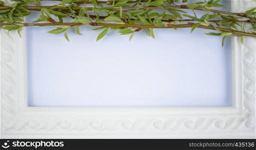 White frame with green willow branches on a white background. Copy space in the middle for your text. Willow twigs.. White frame with green willow branches on a white background. Copy space in the middle for your text.