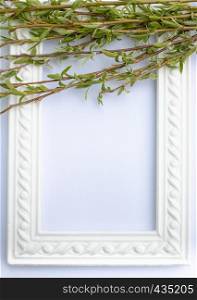 White frame with green willow branches on a white background. Copy space in the middle for your text. Willow twigs.. White frame with green willow branches on a white background. Copy space in the middle for your text.