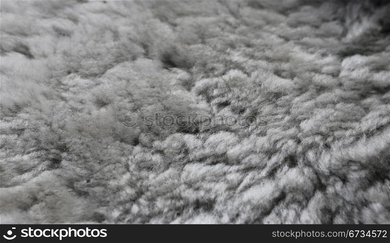 White fur background texture