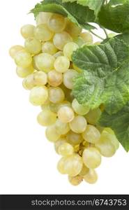 white grape, isolated