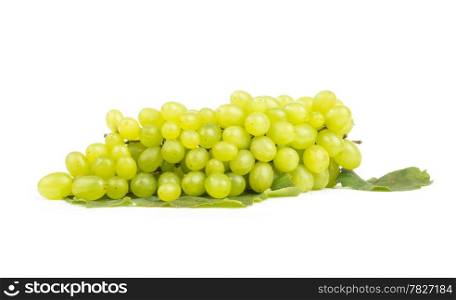 white grape on white background