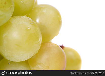 White grapes with water drops. Studio macro shot