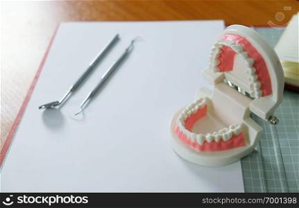 White healthy tooth with Dental model in oral health care concept