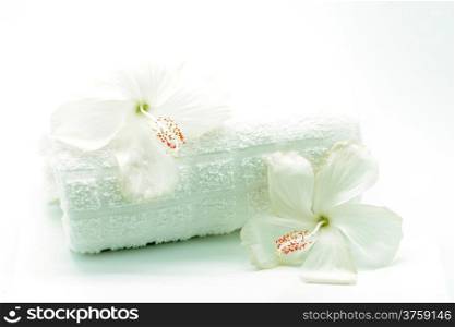 White Hibiscus flower with towel in spa theme, isolated on a white background