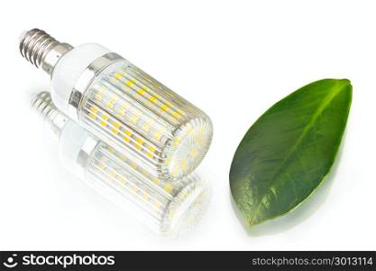 white innovation energy-saving LED bulb, glow-lamp, dry and fresh leaf on white background