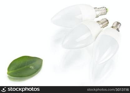 white innovation energy-saving LED bulb, glow-lamp, dry and fresh leaf on white background