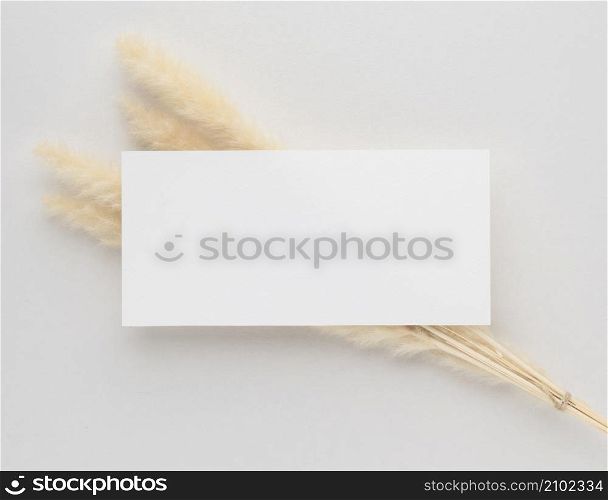 White invitation card mockup with a dried grass on beige background, Minimal beige workplace composition, flat lay, mockup