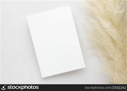 White invitation card mockup with a pampas grass on grey background, Minimal grey workplace composition, flat lay, mockup