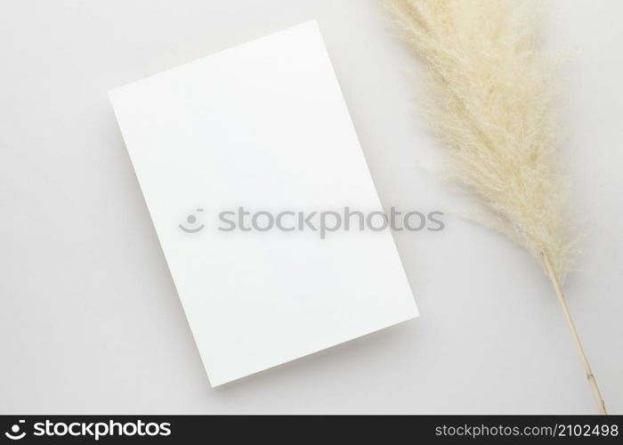 White invitation card mockup with a pampas grass on grey background, Minimal grey workplace composition, flat lay, mockup