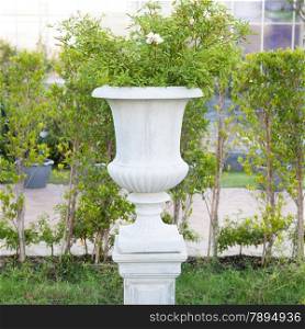White Jardiniere Gardening in Pots And decorations in the garden