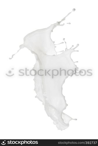 White liquid dairy splash with droplets isolated on white background. White liquid dairy splash with droplets