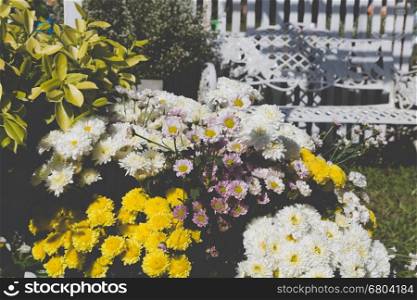 white metal chair and bouquet of blooming flower on lawn yard in park