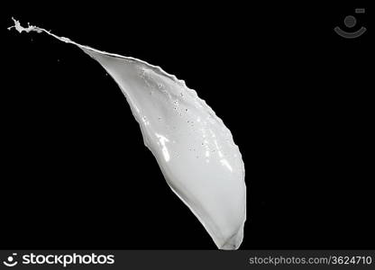 White milk splash isolated on black background