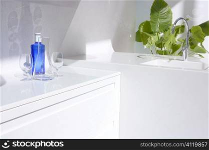 White modern kitchen, blue water bottle and plants