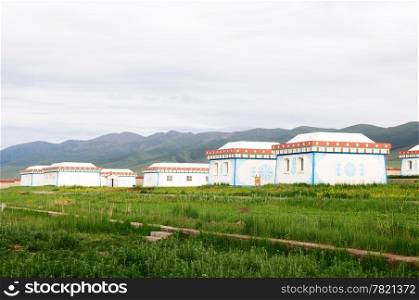 White Mongolian tent or ger on grassland