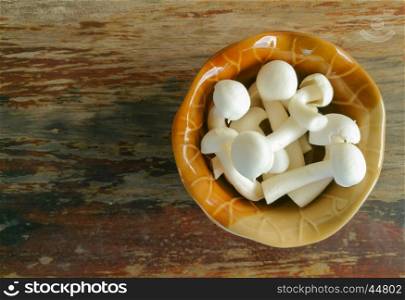 White mushroom in a cup on wooden background