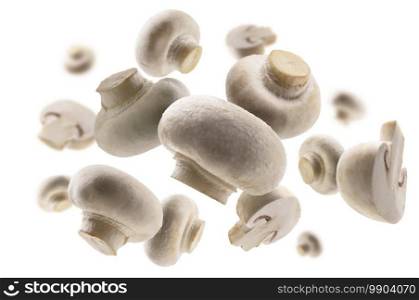 White mushrooms levitate on a white background.. White mushrooms levitate on a white background
