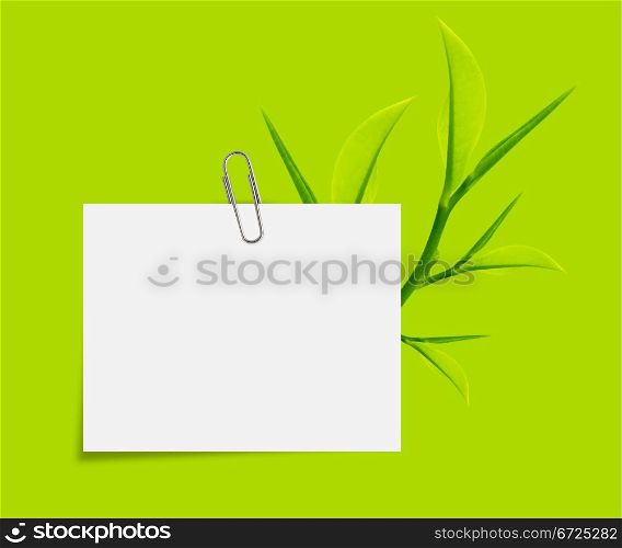 White Note paper with paper clip and green leaves on green background.. Glass bottle