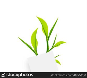 white note paper with paper clip and green leaves on white background.. Glass bottle
