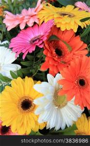 White, orange, pink, yellow and red gerberas in a colorful wedding bouquet