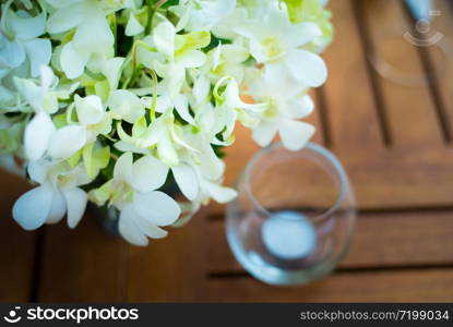 white orchid decorated in vase on wood table