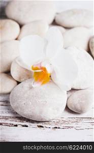 White orchid on the rebbles, spa concept