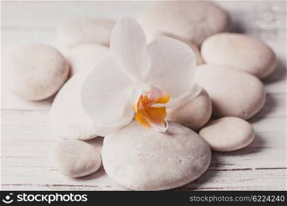 White orchid on the rebbles, spa concept