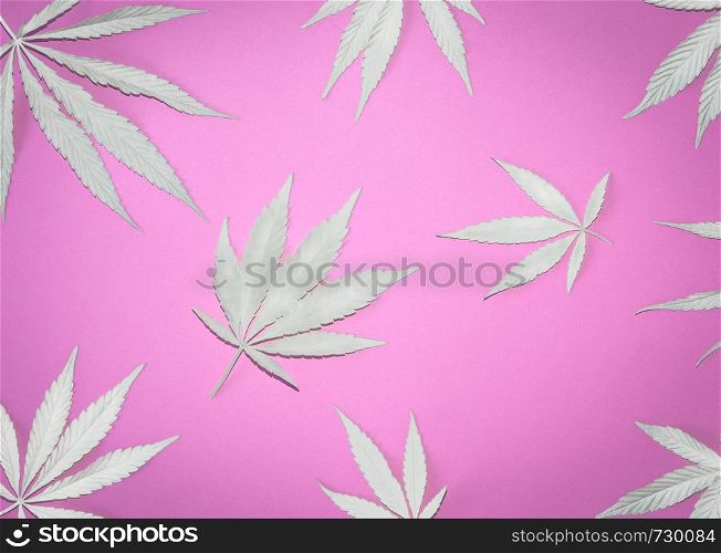White painted Hemp or cannabis leaves pattern with shades. Close up of Cannabis leaves on pink background. Top view, flat lay.