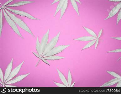 White painted Hemp or cannabis leaves pattern with shades. Close up of Cannabis leaves on pink background. Top view, flat lay.